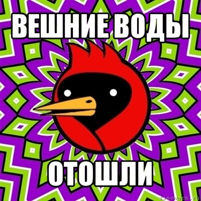 вешние воды отошли, Мем Омская птица