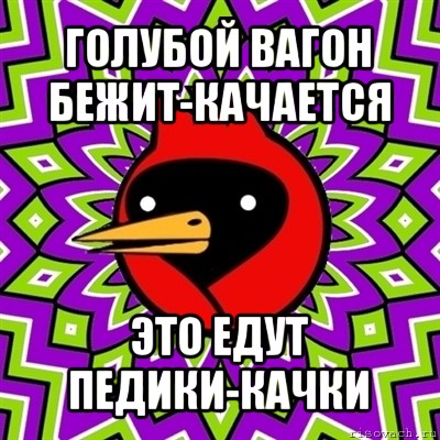 голубой вагон бежит-качается это едут педики-качки, Мем Омская птица