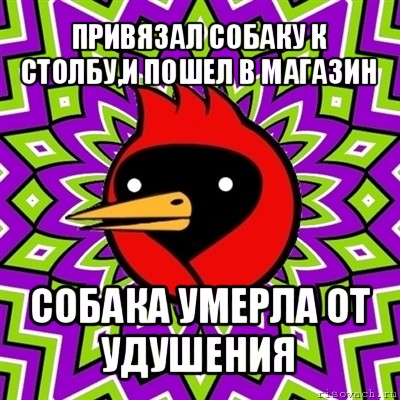 привязал собаку к столбу,и пошел в магазин собака умерла от удушения, Мем Омская птица