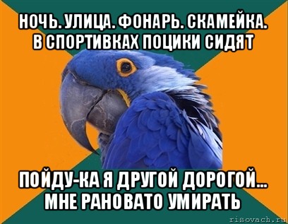 ночь. улица. фонарь. скамейка.
в спортивках поцики сидят пойду-ка я другой дорогой...
мне рановато умирать, Мем Попугай параноик