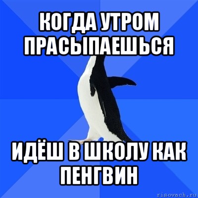 когда утром прасыпаешься идёш в школу как пенгвин, Мем  Социально-неуклюжий пингвин