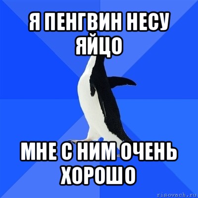 я пенгвин несу яйцо мне с ним очень хорошо, Мем  Социально-неуклюжий пингвин