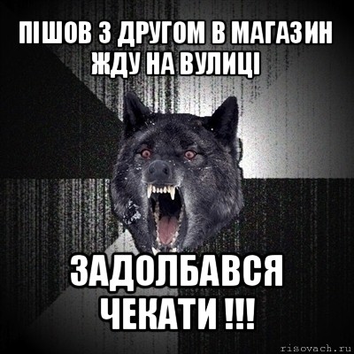 пішов з другом в магазин
жду на вулиці задолбався чекати !!!, Мем Сумасшедший волк