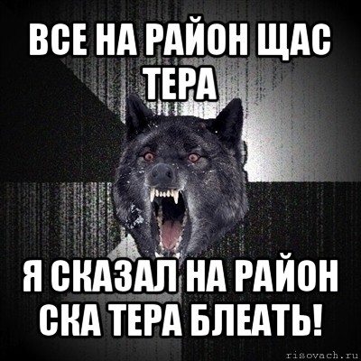 все на район щас тера я сказал на район ска тера блеать!, Мем Сумасшедший волк