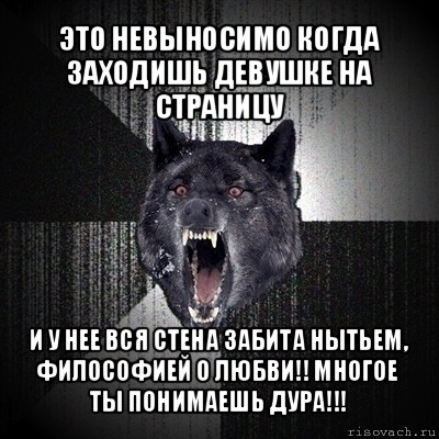 это невыносимо когда заходишь девушке на страницу и у нее вся стена забита нытьем, философией о любви!! многое ты понимаешь дура!!!, Мем Сумасшедший волк