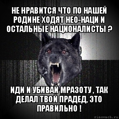 не нравится что по нашей родине ходят нео-наци и остальные националисты ? иди и убивай мразоту , так делал твой прадед, это правильно !, Мем Сумасшедший волк