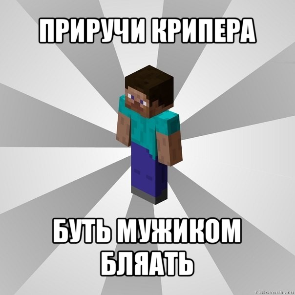 приручи крипера буть мужиком бляать, Мем Типичный игрок Minecraft