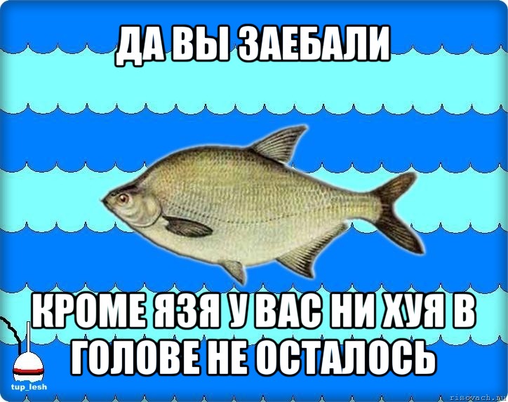 да вы заебали кроме язя у вас ни хуя в голове не осталось, Мем Тупичный лещ