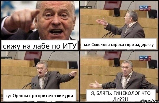 сижу на лабе по ИТУ там Соколова спросит про задержку тут Орлова про критические дни Я, БЛЯТЬ, ГИНЕКОЛОГ ЧТО ЛИ??!!, Комикс Жириновский