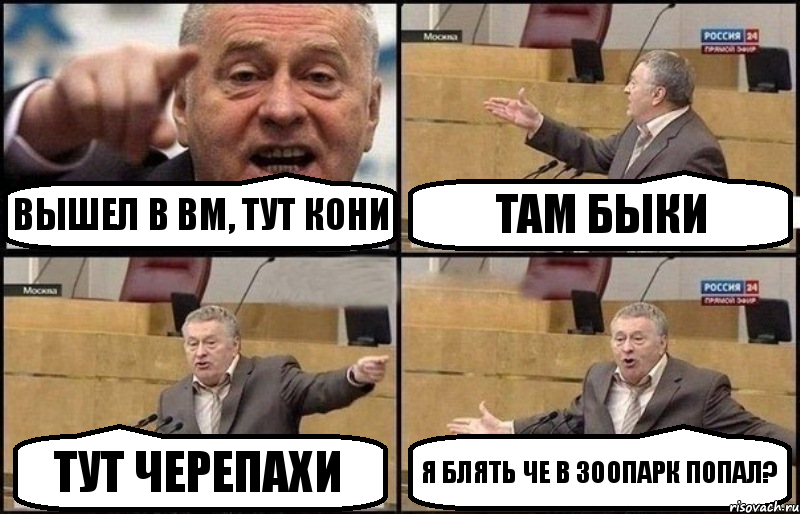 Вышел в ВМ, тут кони там быки тут черепахи я блять че в зоопарк попал?, Комикс Жириновский