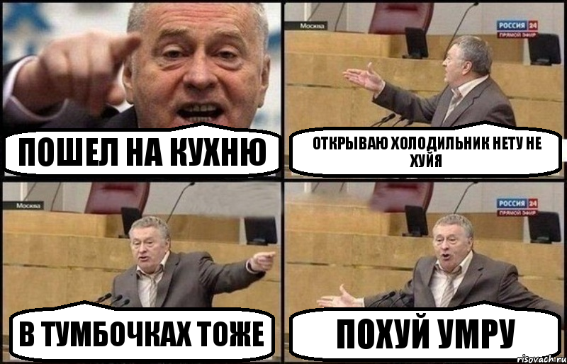 пошел на кухню открываю холодильник нету не хуйя в тумбочках тоже ПОХУЙ УМРУ, Комикс Жириновский