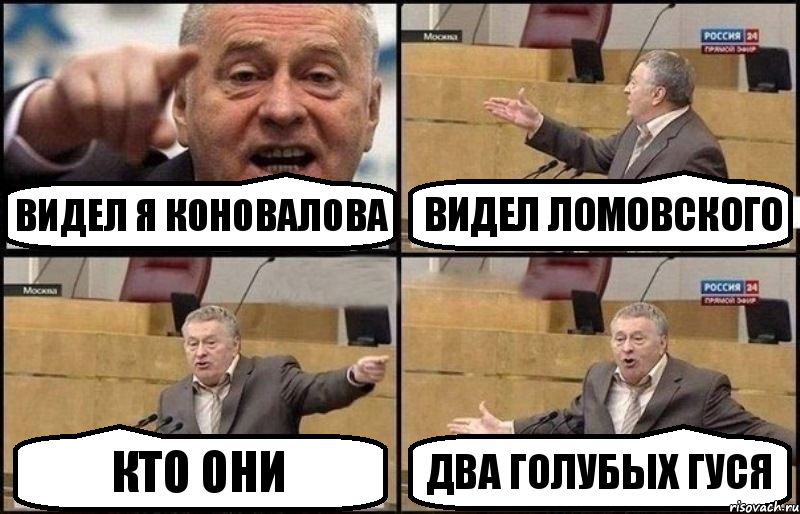 Видел я Коновалова Видел Ломовского кто они два голубых гуся, Комикс Жириновский