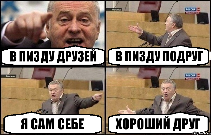 В пизду друзей в пизду подруг я сам себе хороший друг, Комикс Жириновский