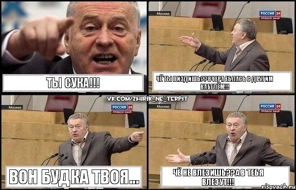 ТЫ СУКА!!! ЧЁ ТЫ ПИЗДИШЬ??ВЧЕРА ЕБЛАСЬ С ДРУГИМ КАБЕЛЁМ!!! ВОН БУДКА ТВОЯ... ЧЁ НЕ ВЛЕЗИШЬ??А В ТЕБЯ ВЛЕЗУТ!!!, Комикс Жириновский