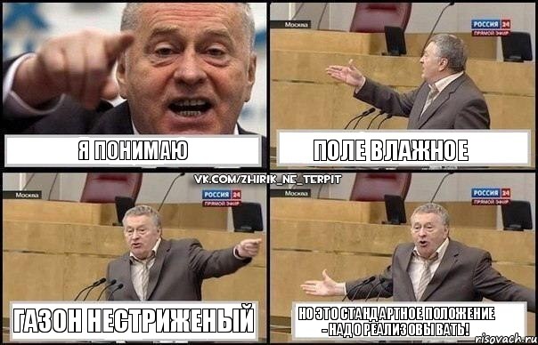 я понимаю поле влажное газон нестриженый но это стандартное положение - надо реализовывать!, Комикс Жириновский