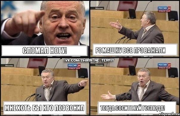 Сломал ногу! Ромашку все проважали Мне хоть бы кто позвонил Тогда сосите хуй господа!, Комикс Жириновский