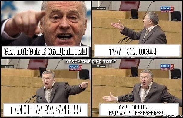 СЕЛ ПОЕСТЬ В ОБЩЕПИТЕ!!! ТАМ ВОЛОС!!! ТАМ ТАРАКАН!!! ВЫ ЧТО БЛЕАТЬ ИЗДЕВАЕТЕСЬ???, Комикс Жириновский