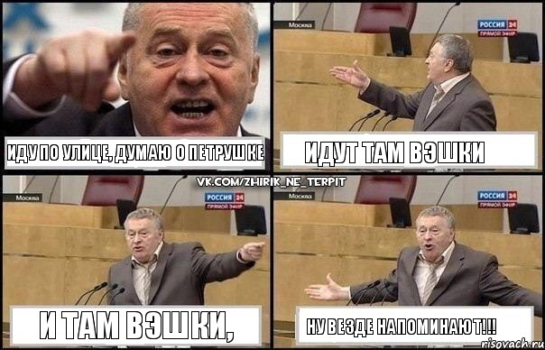 Иду по улице, думаю о Петрушке идут там вэшки и там вэшки, ну везде напоминают!!!, Комикс Жириновский