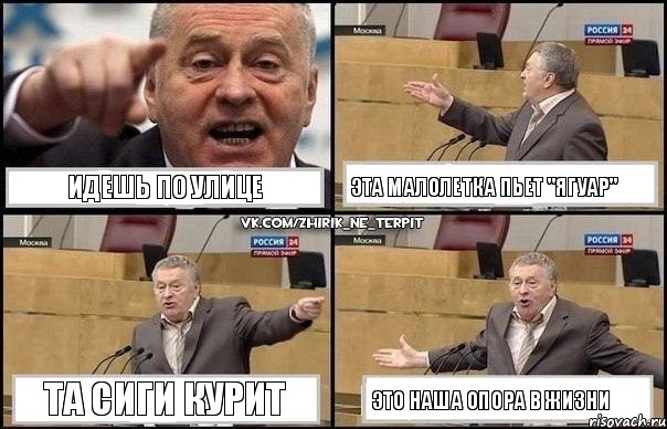 Идешь по улице Эта малолетка пьет "Ягуар" Та сиги курит Это наша опора в жизни, Комикс Жириновский