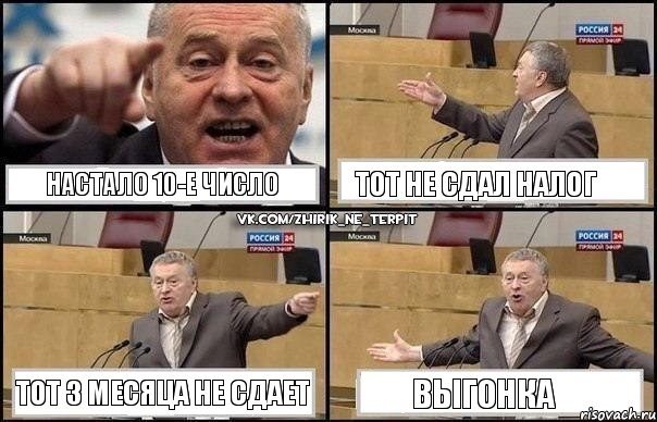 Настало 10-е число тот не сдал налог тот 3 месяца не сдает выгонка, Комикс Жириновский