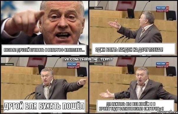 ПОЗВАЛ ДРУЗЕЙ СГОНЯТЬ В ПЕТЕРГОФ НА ХАЛЯВУ ... ОДИН БЛЯТЬ ГАНДОН НА ДАЧУ ПОЕХАЛ! ДРГОЙ БЛЯ БУХАТЬ ПОШЁЛ ДА ЕБИТЕСЬ ВЫ ВСЕ КОНЁМ Я В КРОНШТАДТ САЛЮТПОЕХАЛ СМОТРЕТЬ=), Комикс Жириновский