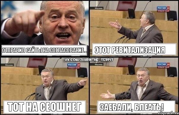 отправил сайты на согласование... этот ревитализация тот на СЕОШНЕГ заебали, блеать!, Комикс Жириновский