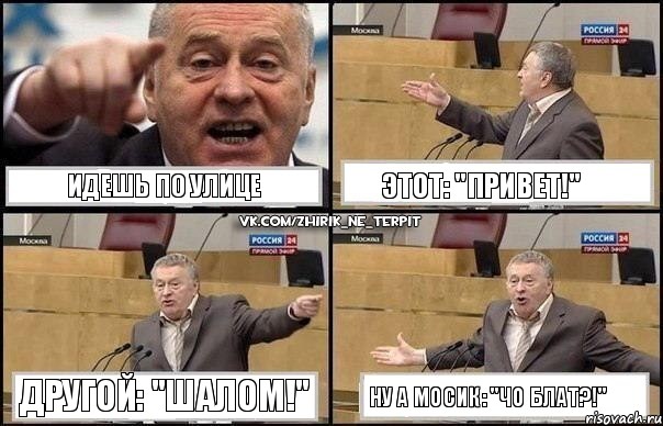 Идешь по улице Этот: "Привет!" Другой: "Шалом!" Ну а Мосик: "Чо блат?!", Комикс Жириновский