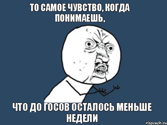 то самое чувство, когда понимаешь, что до госов осталось меньше недели, Мем Ну почему