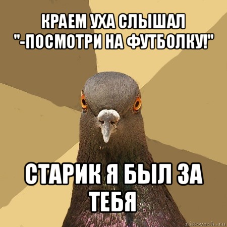 краем уха слышал "-посмотри на футболку!" старик я был за тебя, Мем голубь