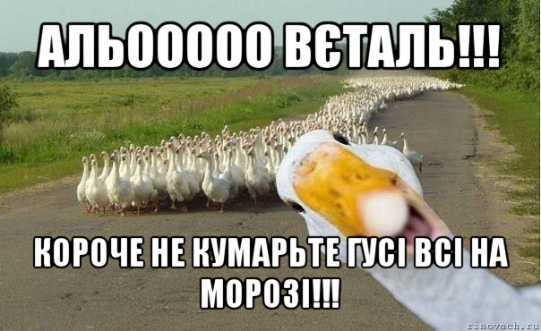 альооооо вєталь!!! короче не кумарьте гусі всі на морозі!!!