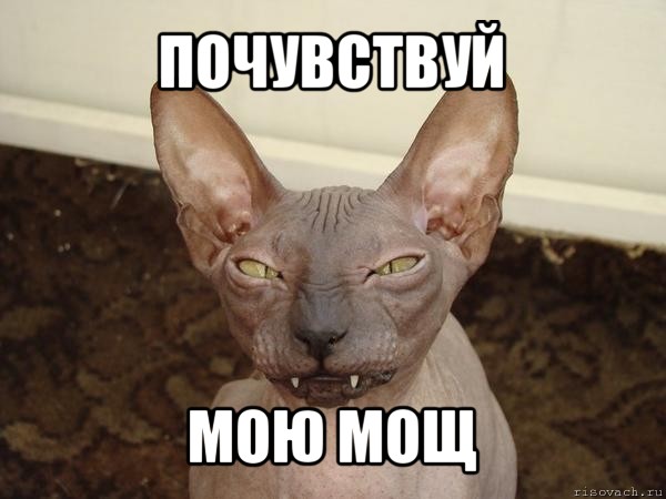 почувствуй мою мощ