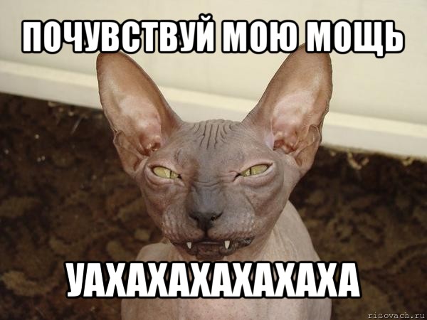 почувствуй мою мощь уахахахахахаха