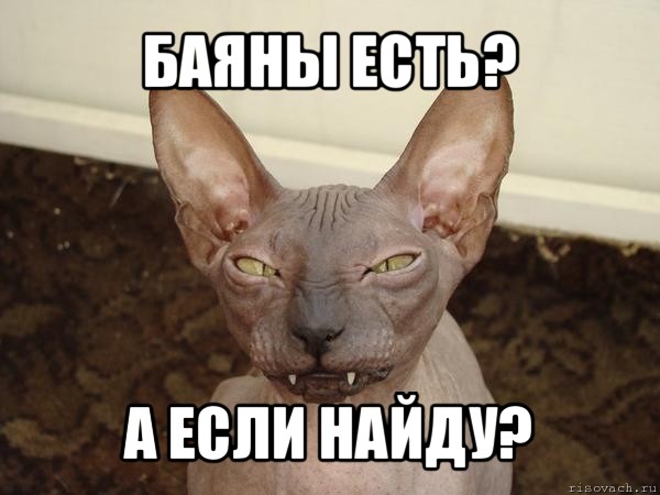 баяны есть? а если найду?