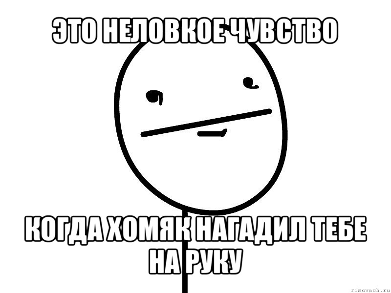 это неловкое чувство когда хомяк нагадил тебе на руку, Мем Покерфэйс