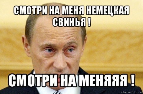 смотри на меня немецкая свинья ! смотри на меняяя !, Мем путин