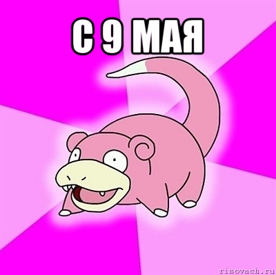 с 9 мая , Мем слоупок