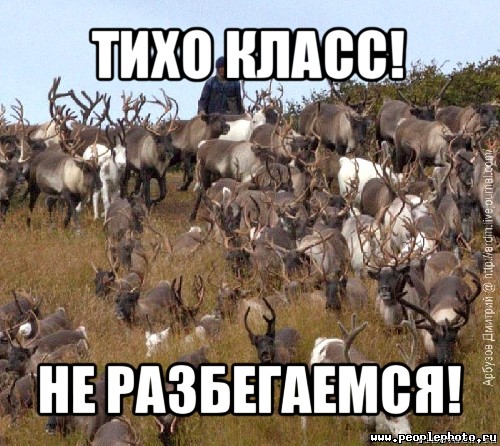 тихо класс! не разбегаемся!