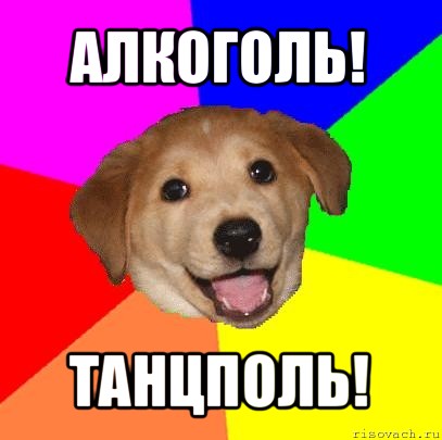 алкоголь! танцполь!, Мем Advice Dog