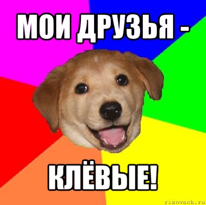 мои друзья - клёвые!, Мем Advice Dog