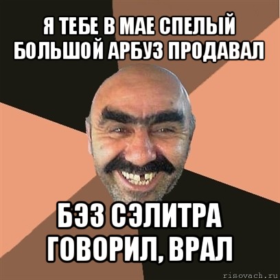 я тебе в мае спелый большой арбуз продавал бэз сэлитра говорил, врал, Мем Я твой дом труба шатал