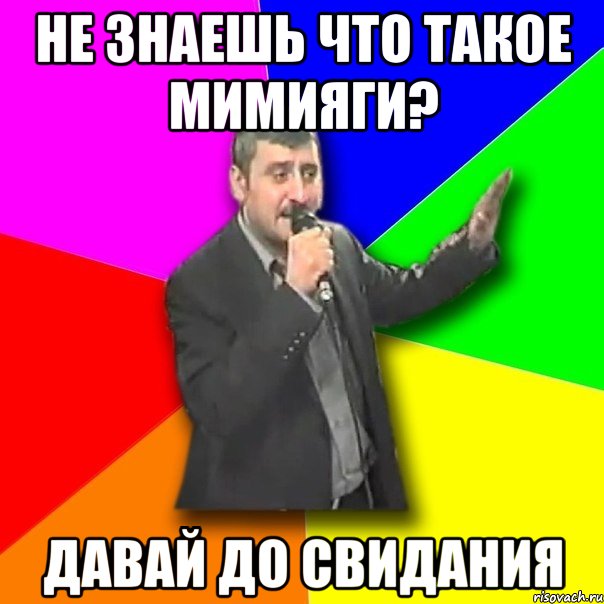 не знаешь что такое мимияги? давай до свидания, Мем Давай досвидания