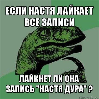 если настя лайкает все записи лайкнет ли она запись "настя дура" ?, Мем Филосораптор