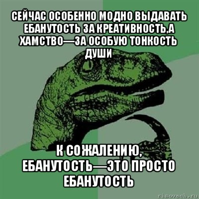 сейчас особенно модно выдавать ебанутость за креативность,а хамство—за особую тонкость души к сожалению, ебанутость—это просто ебанутость, Мем Филосораптор