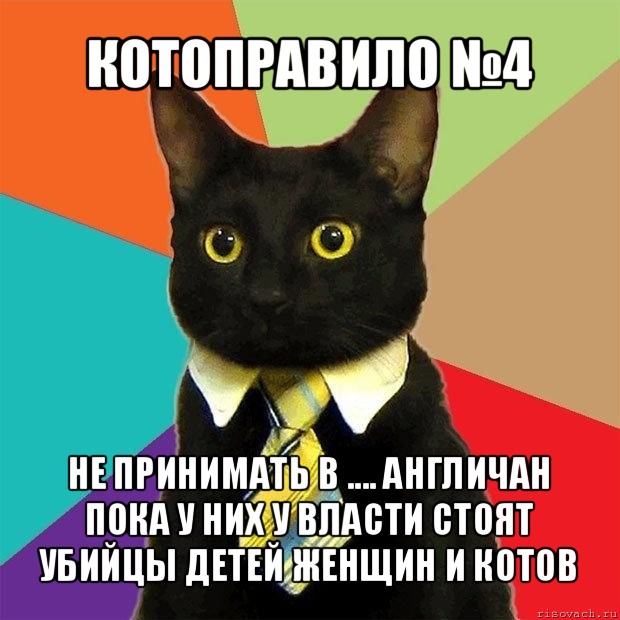 котоправило №4 не принимать в .... англичан пока у них у власти стоят убийцы детей женщин и котов, Мем  Кошечка