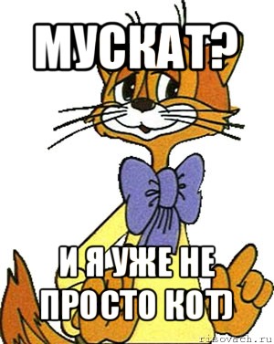 мускат? и я уже не просто кот)