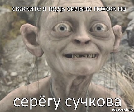 серёгу сучкова скажите я ведь сильно похож на