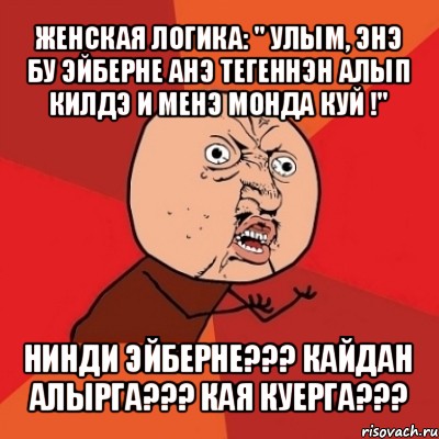 женская логика: " улым, энэ бу эйберне анэ тегеннэн алып килдэ и менэ монда куй !" нинди эйберне??? кайдан алырга??? кая куерга???, Мем Почему