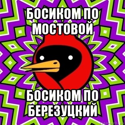 босиком по мостовой босиком по березуцкий, Мем Омская птица