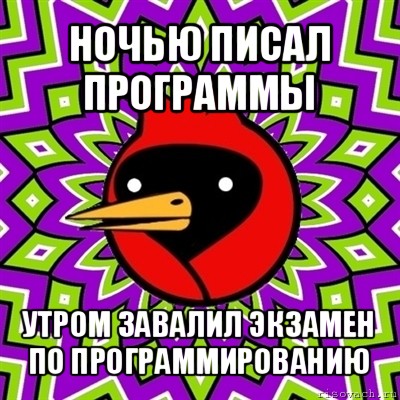 ночью писал программы утром завалил экзамен по программированию, Мем Омская птица