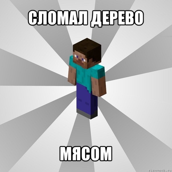 сломал дерево мясом, Мем Типичный игрок Minecraft